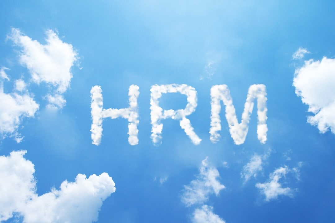 E-HRM Gids | Officient HR Software
